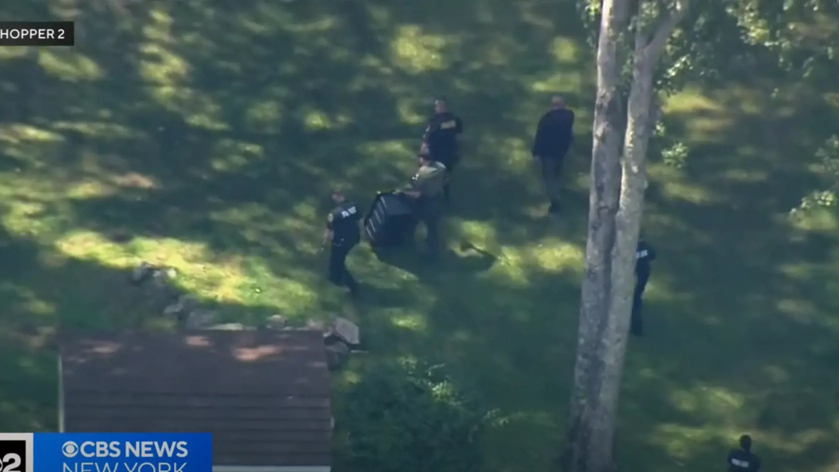 USA: V štáte New York zaútočil medveď na maloletého chlapca