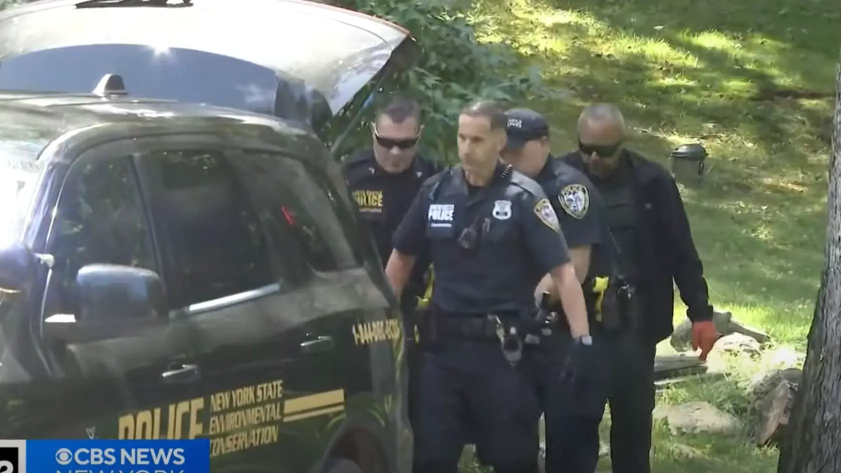 USA: V štáte New York zaútočil medveď na maloletého chlapca