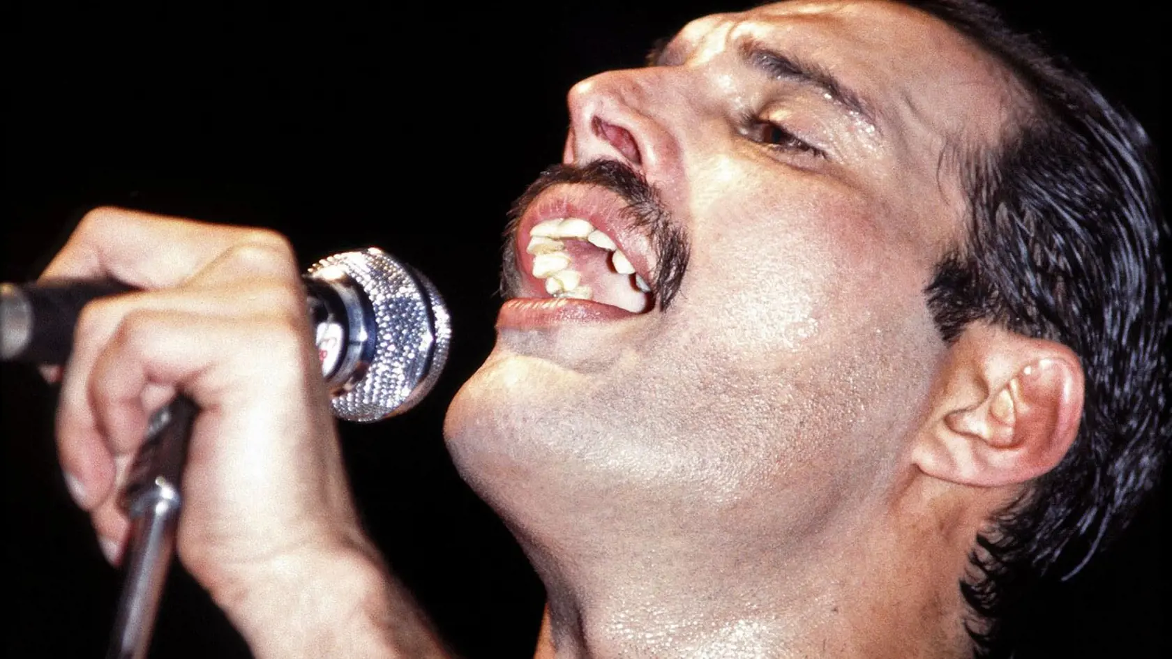 Freddie Mercury bol jeden z najlepších rockových spevákov histórie a suverénny kráľ koncertného pódia.