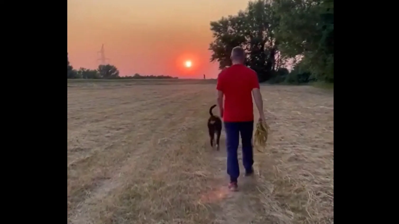 Líder Hlasu Peter Pellegrini si zápas slnka užil so svojim psom Garym.
