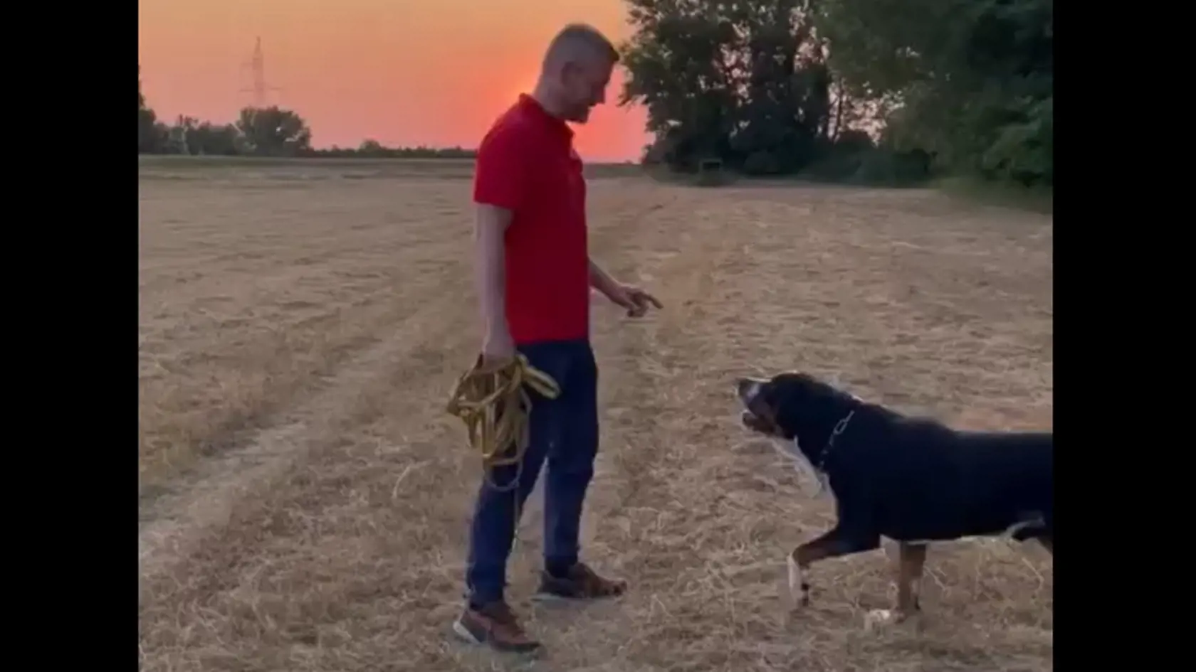 Líder Hlasu Peter Pellegrini pri prechádzke so svojim psom Garym.