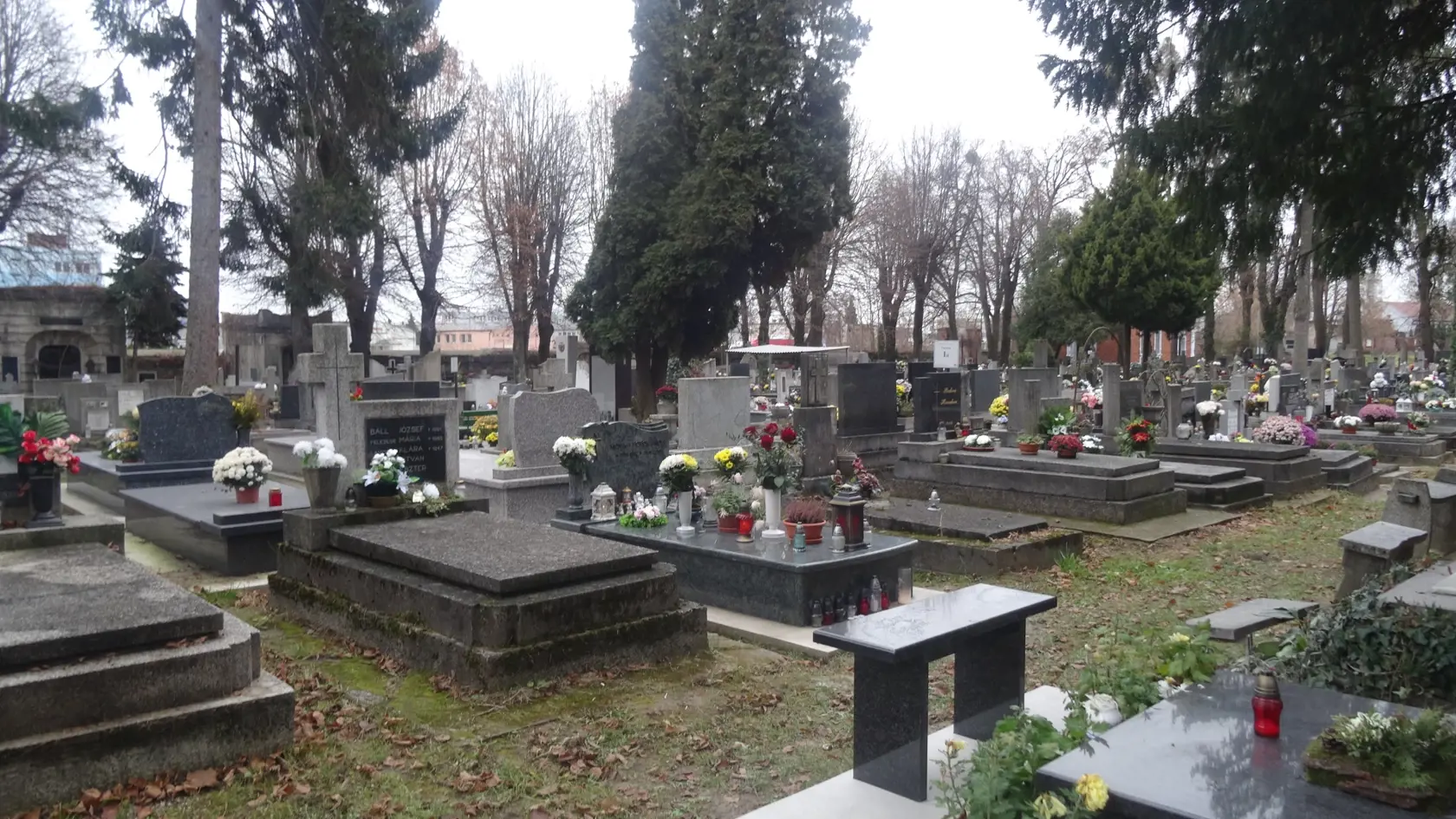 Hrob Moniky je v rade so staršími hrobkami.