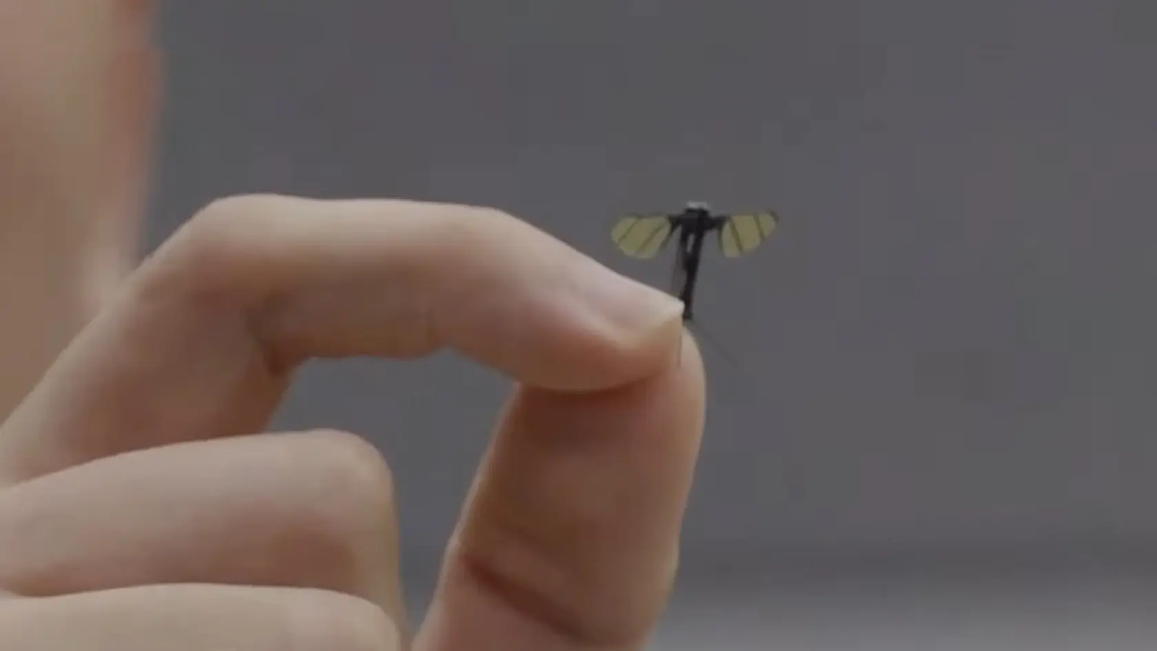 Nový dron v tvare hmyzu meria na dĺžku 1,3 centimetra.