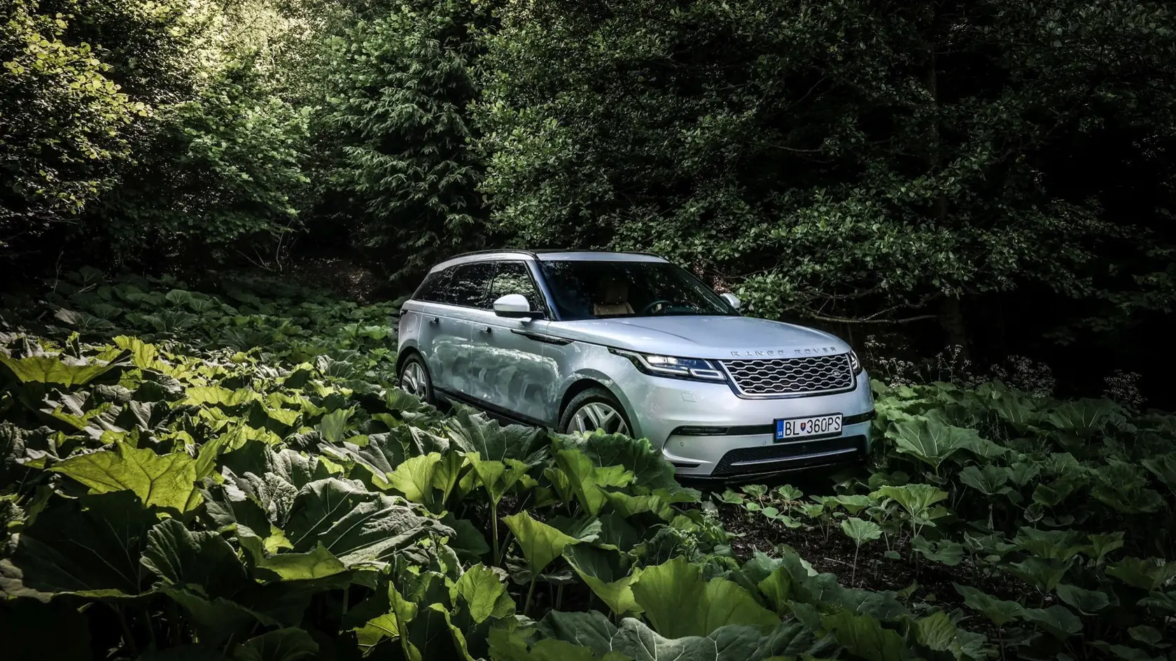 Vyzerá ako rozmaznaný model, Velar sa však nezľakne ani tvrdšieho terénu