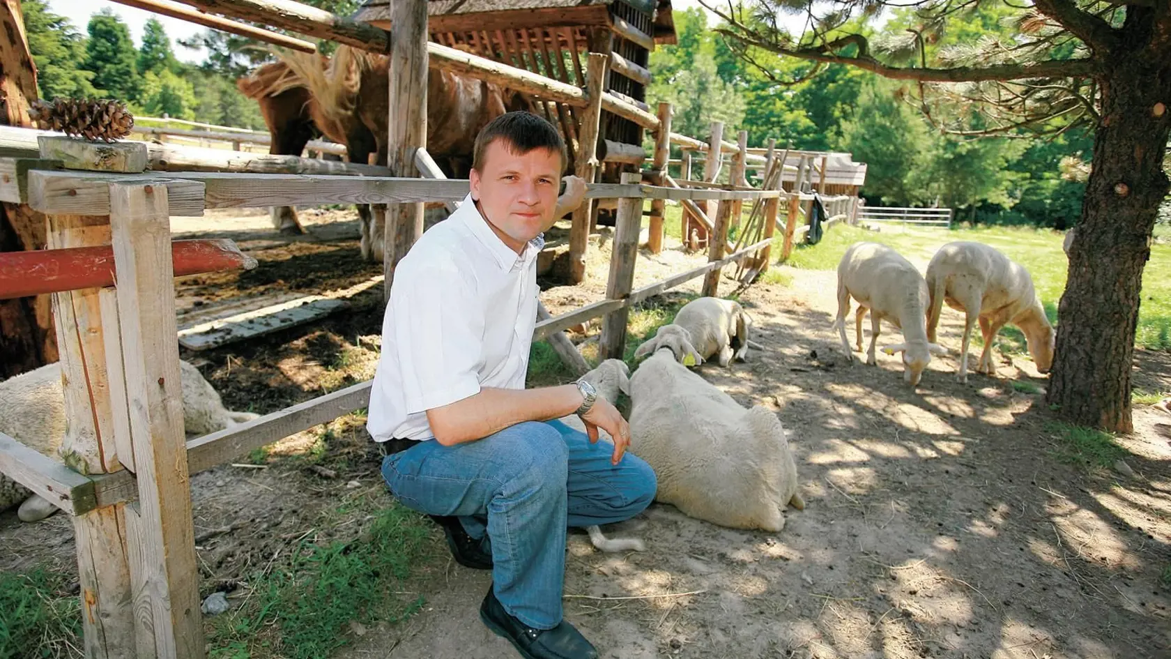 HLINA návštevníkom umožňuje vidieť hospodárske zvieratá úplne zblízka.