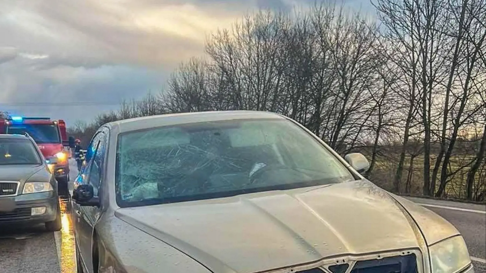 Takto mal "vodič drevorubač" naložené osobné auto.
