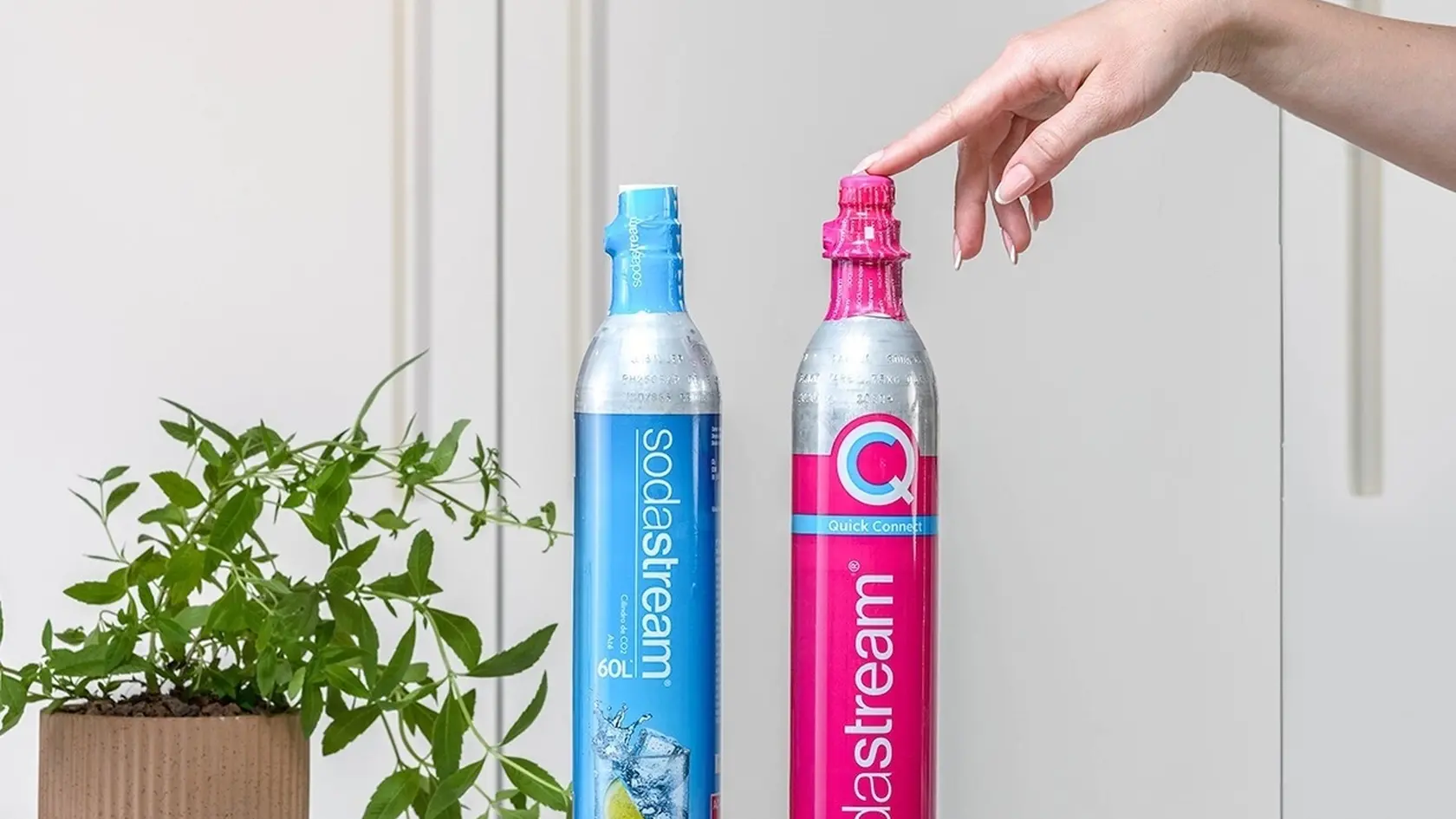 Modrá alebo ružová? Nové ružové bombičky SodaStream už dostupné aj u nás!