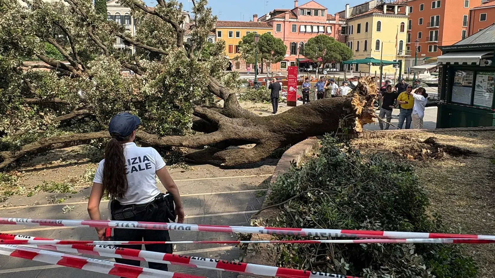 Strom sa náhle zlomil, zasiahol niekoľkých ľudí vrátane matky detí či turistov.
