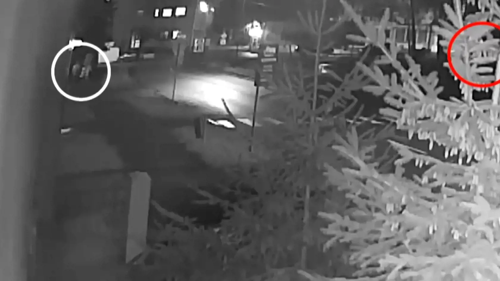 V bielom krúžku na zábere stojí dvojica. N amieste vyznačenom červenou farbou bola zápasiaca dvojica.