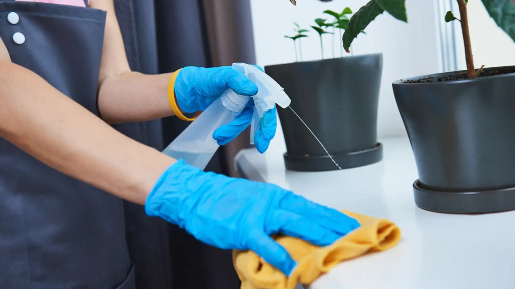 Cleaning service. Woman wiping windowsill surface at home