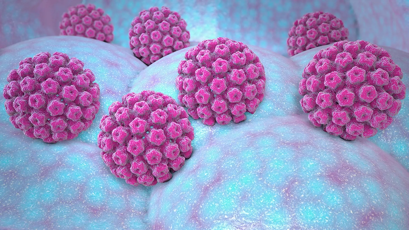 Ľudský papilomavírus HPV môže spôsobiť viacero typov rakoviny.
