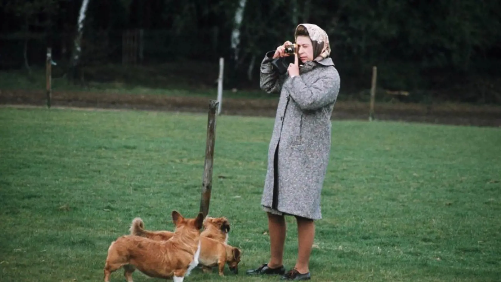 Britská kráľovská rodina