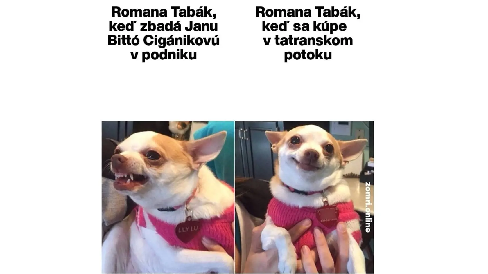 Dve tváre Romany Tabák podľa humoristov.
