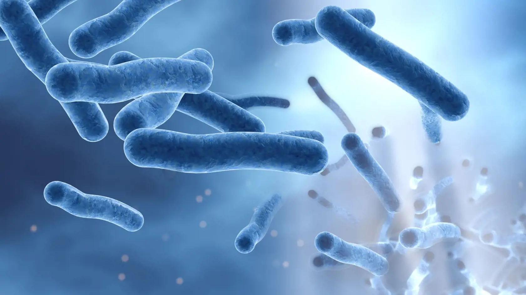 Baktérie Legionella pneumophila vo vode.