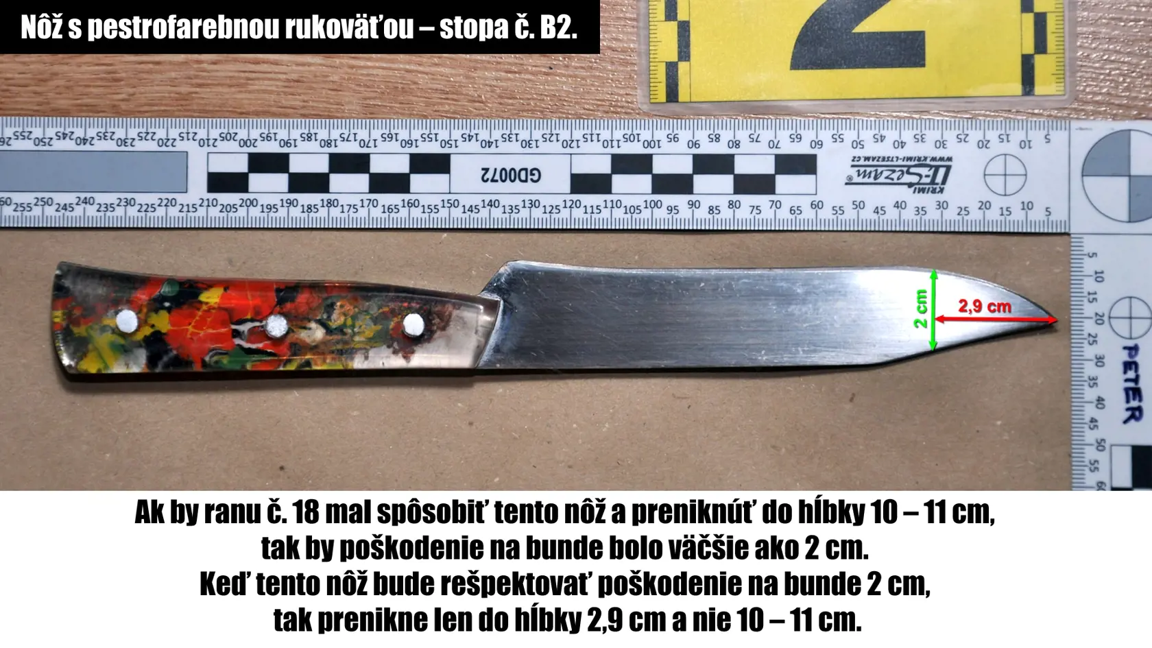 Fotografie zo spisu, ktoré zverejnila rodina odsúdenej Judity.