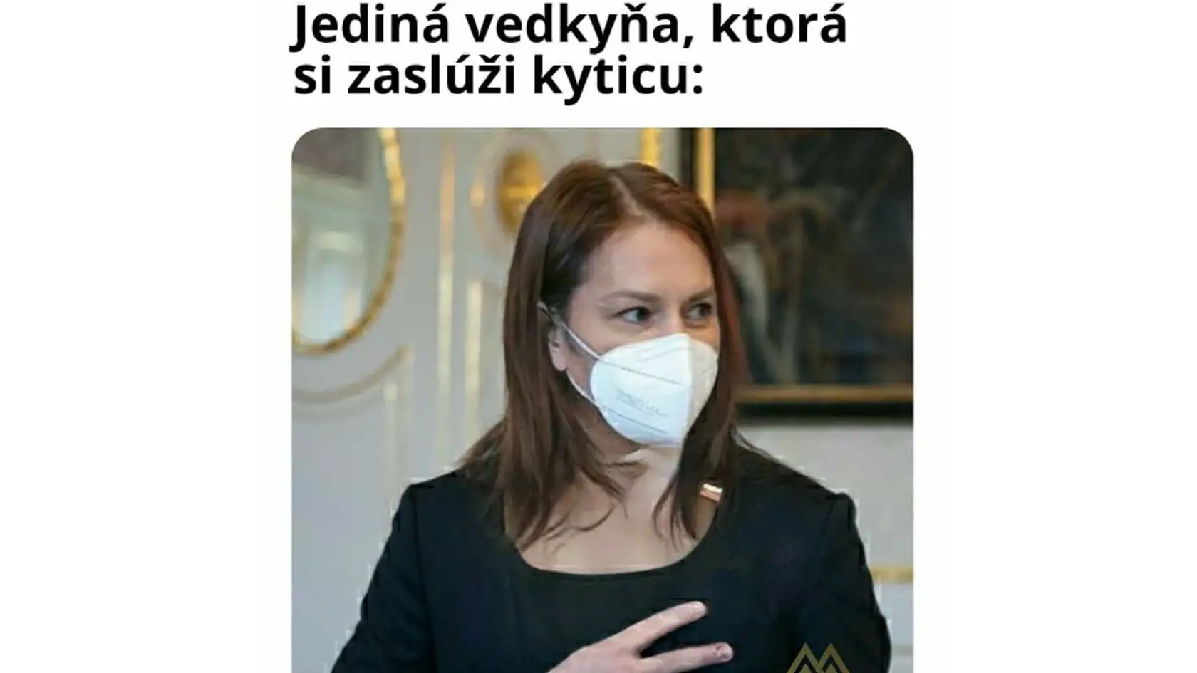 A takto vyzerá podľa humoristov vedkyňa, ktorá si kyticu od Igora Matoviča zaslúži.