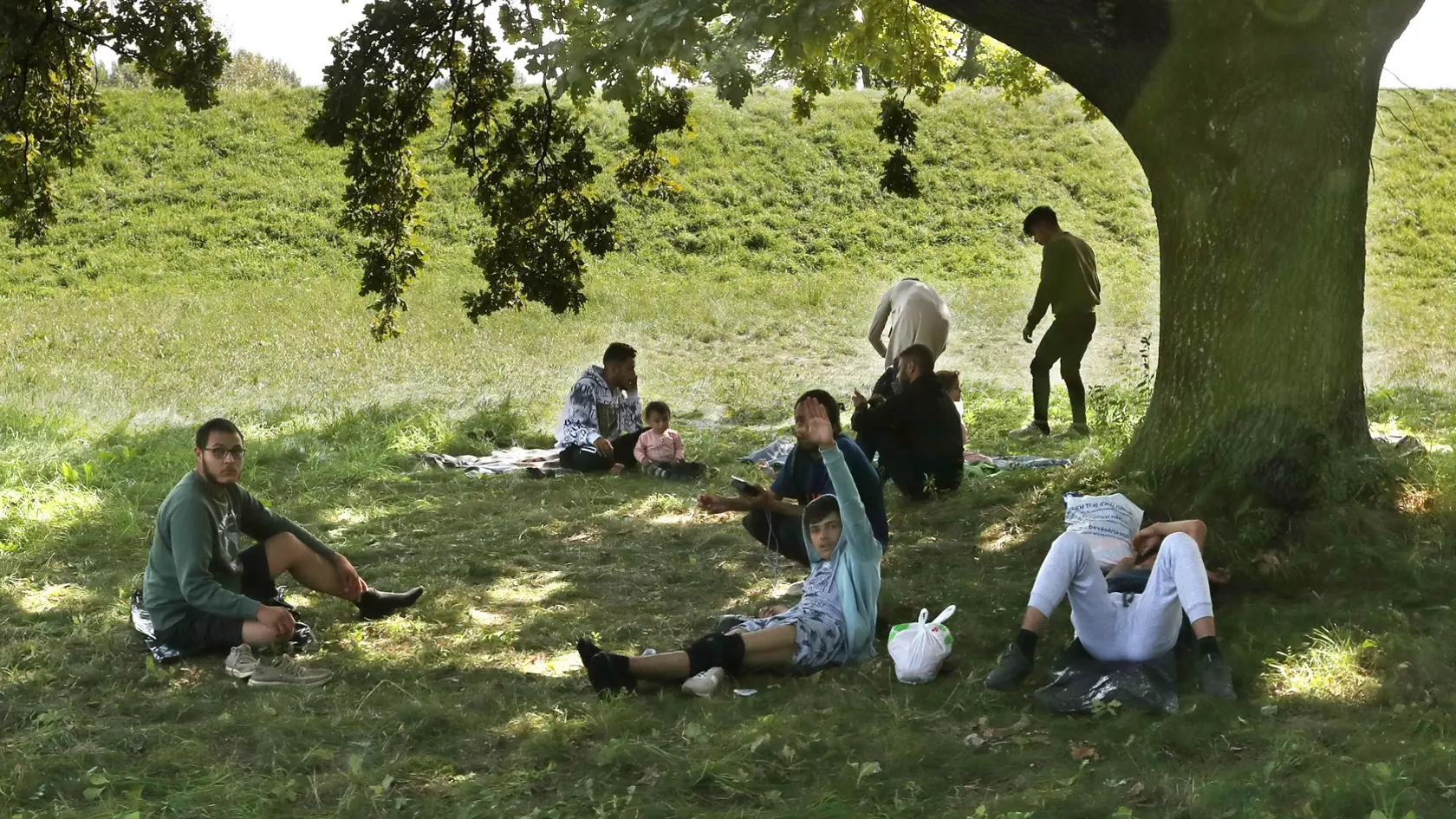 Väčšinou mladí muži. To je skupina migrantov, ktorí sa usadili priamo pri záhradkárskej osade pri Váhu v Trenčíne.