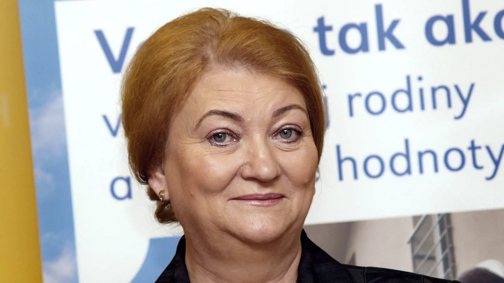 Anna Záborská tvrdí, že Kresťanská únia je konzervatívnou stranou 21. storočia. Jej postoje však kritici a odborníci považujú za fundamentalistické a spiatočnícke.