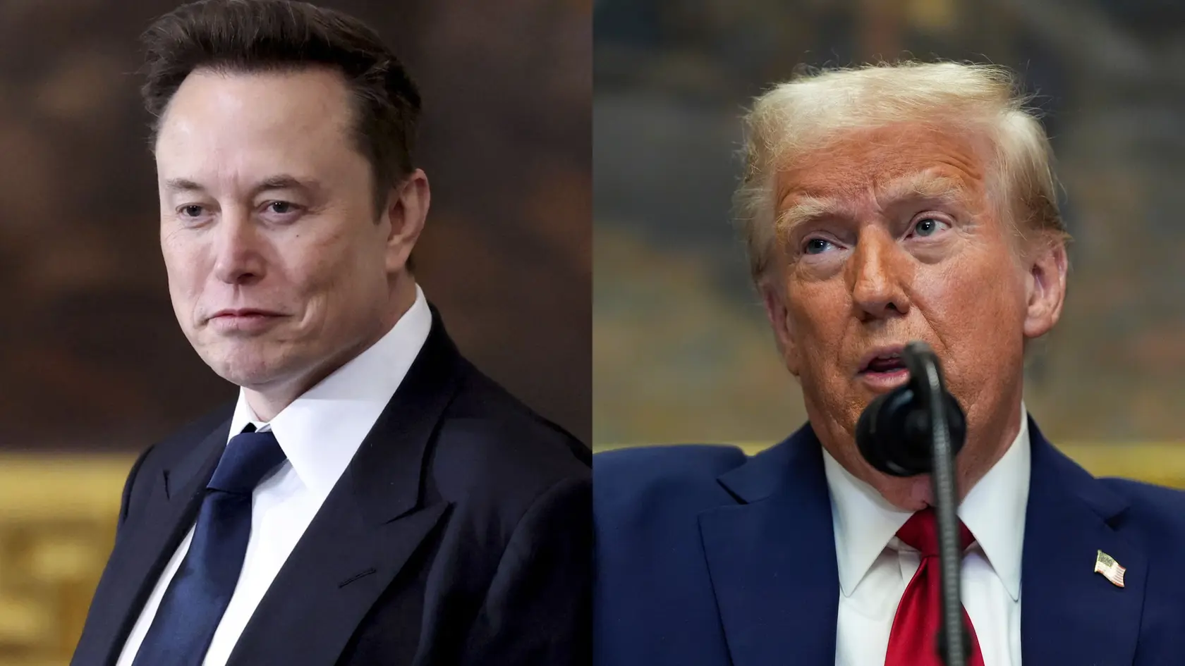 Elon Musk, Donald Trump