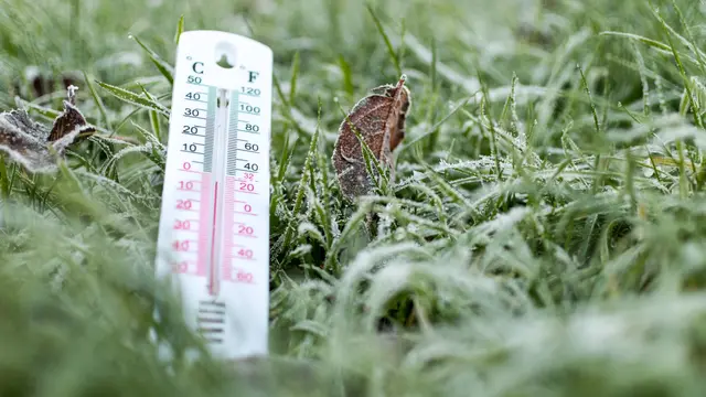 V noci z utorka na stredu (14. 5.) hrozí na Slovensku prízemný mráz. Slovenský hydrometeorologický ústav (SHMÚ) preto vydal výstrahy prvého stupňa pred mrazom vo vegetačnom období s platnosťou od polnoci pre celú krajinu. (ilustračné foto).