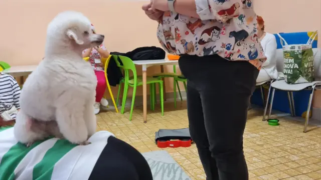 S úžasnou novinkou sa Fakultná nemocnica v Nitre pochválila na sociálnej sieti, kde dvoch nezvyčajných terapeutov predstavila.