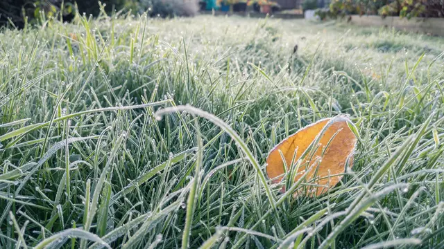 Aj počas noci na sobotu (10. 5.) a prvých ranných hodín bude platiť výstraha pred prízemným mrazom, Slovenský hydrometeorologický ústav (SHMÚ) ju vydal pre celé územie krajiny. (Ilustračné foto)