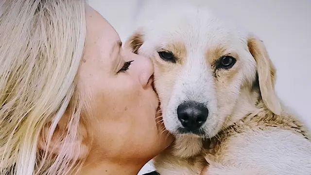V krupinskom útulku sa majú zvieratá výborne.