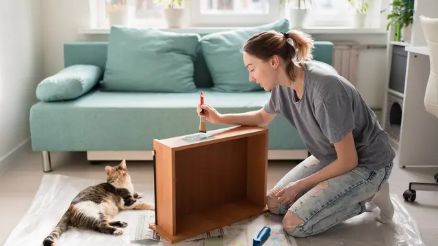 Young woman painting drawer. Cat lying nearby. Furniture repair. Do it yourself. Handmade.