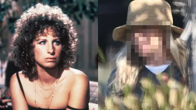 Legendárna herečka a speváčka Barbra Streisand (82) sa po dlhšej odmlke ukázala na verejnosti a okamžite sa stala stredobodom pozornosti. Zatiaľ čo niektorí obdivovali jej odvahu starnúť prirodzene, iní komentovali jej vzhľad, ktorý vyvolal vášnivé debaty.