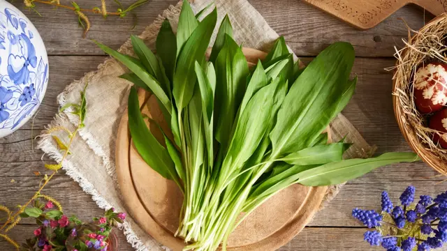 Môže sa medvedí cesnak mraziť alebo sušiť? Dozviete sa v podcaste Dobré jedlo pre Zdravie.