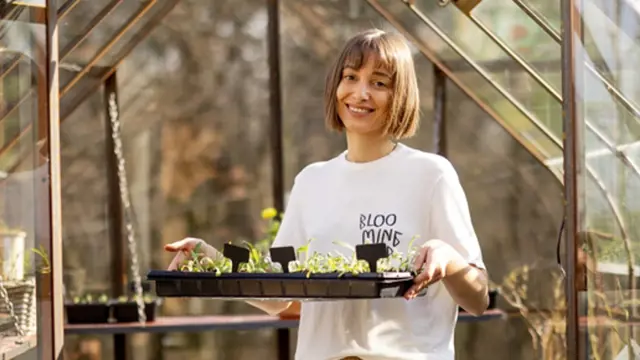 Portrait of a young female gardener standing with seedling tray in small beautiful greenhouse, growing flowers in garden. Concept of an active hobby and sustainable lifestyle