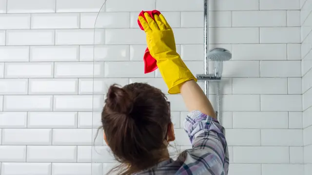 House cleaning. Woman is cleaning in the bathroom at home