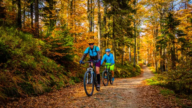 Cycling, mountain biker couple on cycle trail in autumn forest. Mountain biking in autumn landscape forest. Man and woman cycling MTB flow uphill trail.